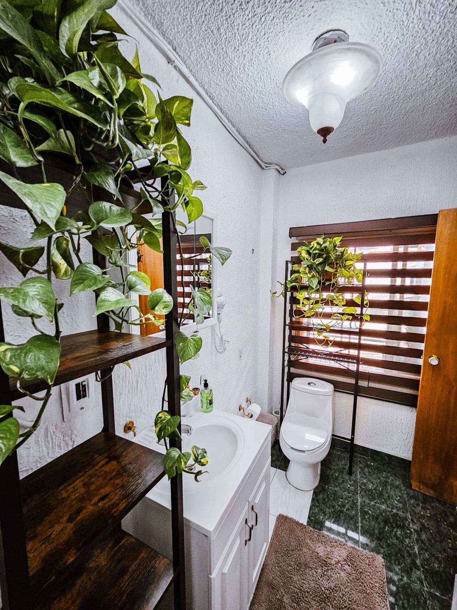 Habitacion Con Bano Privado B, Centro De Coyoacan Mexiko-Stadt Exterior foto